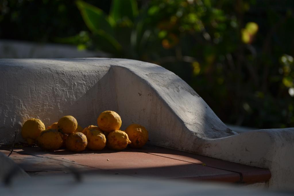 Schicciolina Βίλα Στρόμπολι Εξωτερικό φωτογραφία